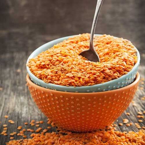 red lentil