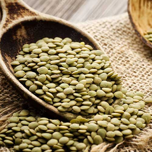 Green lentil